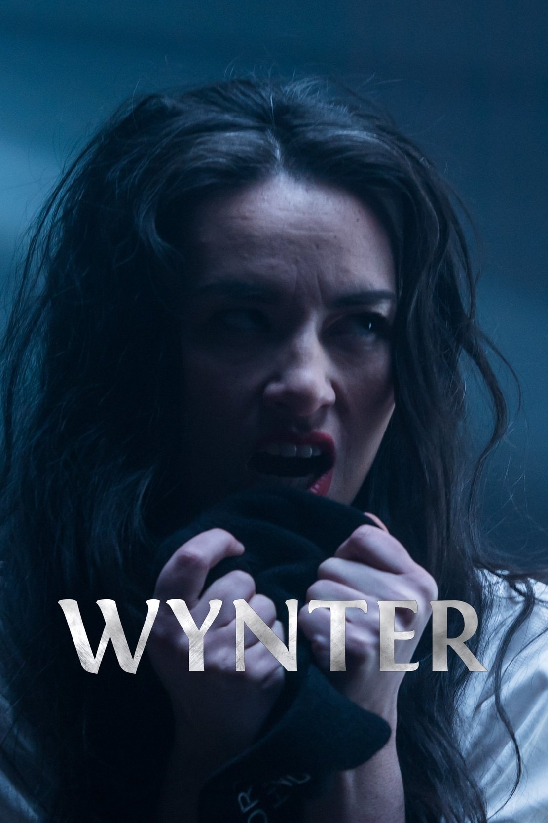 Постер Wynter